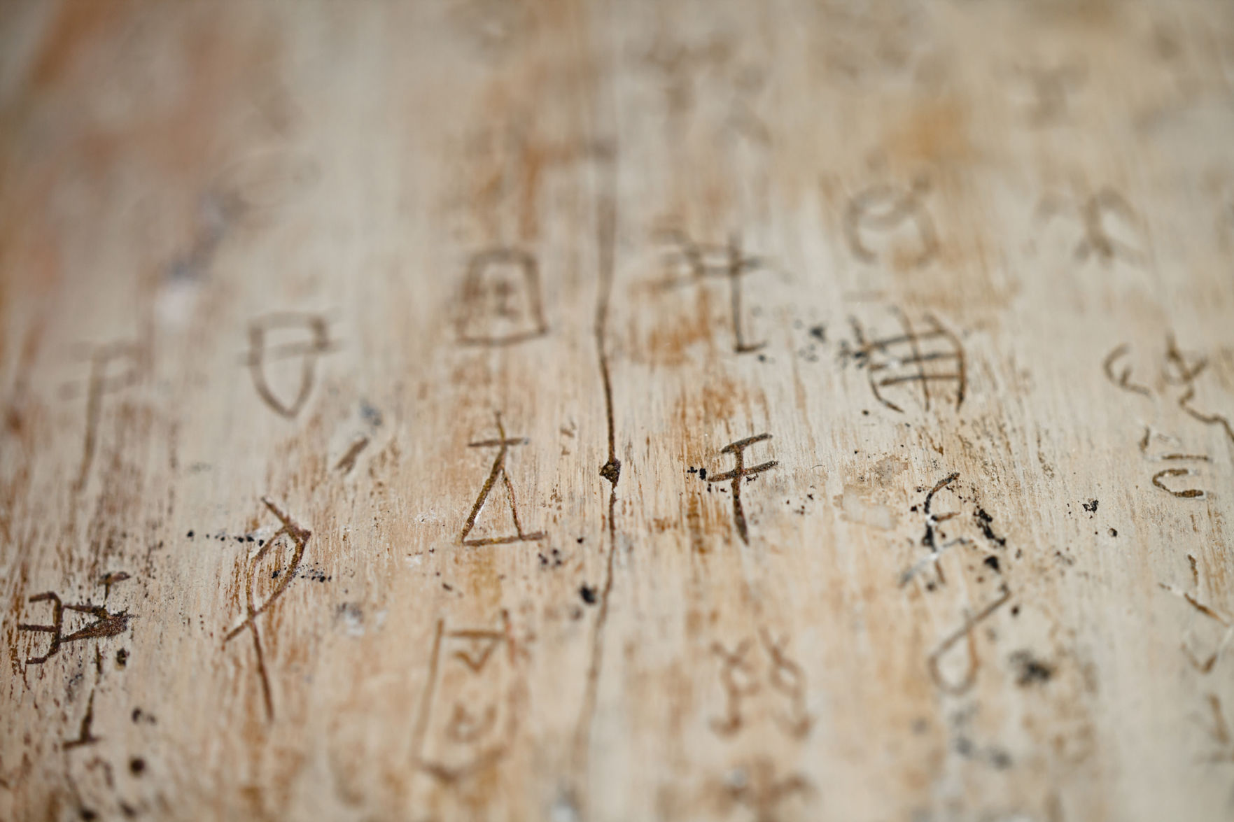 Oracle bone script